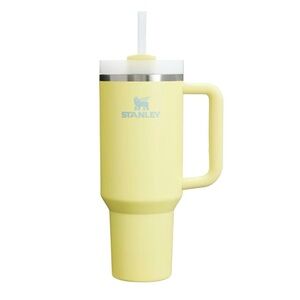 STANLEY Quencher H2.0 Tumbler with Handle and Straw 40 oz - Pomelo - NWT!